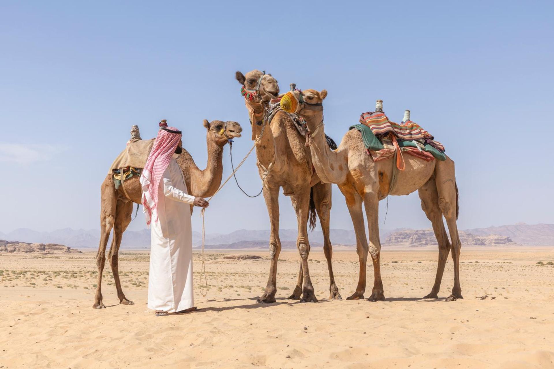 Wadi Rum Camp & Jeep Tour Eksteriør billede