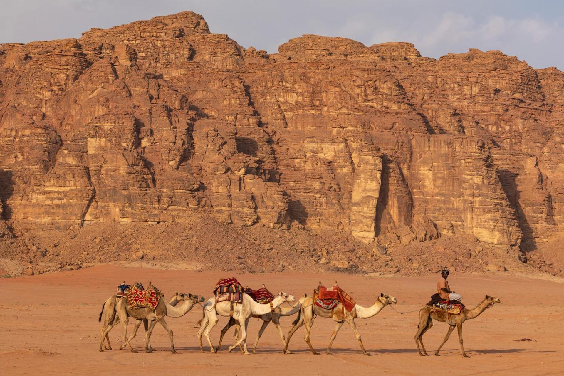 Wadi Rum Camp & Jeep Tour Eksteriør billede