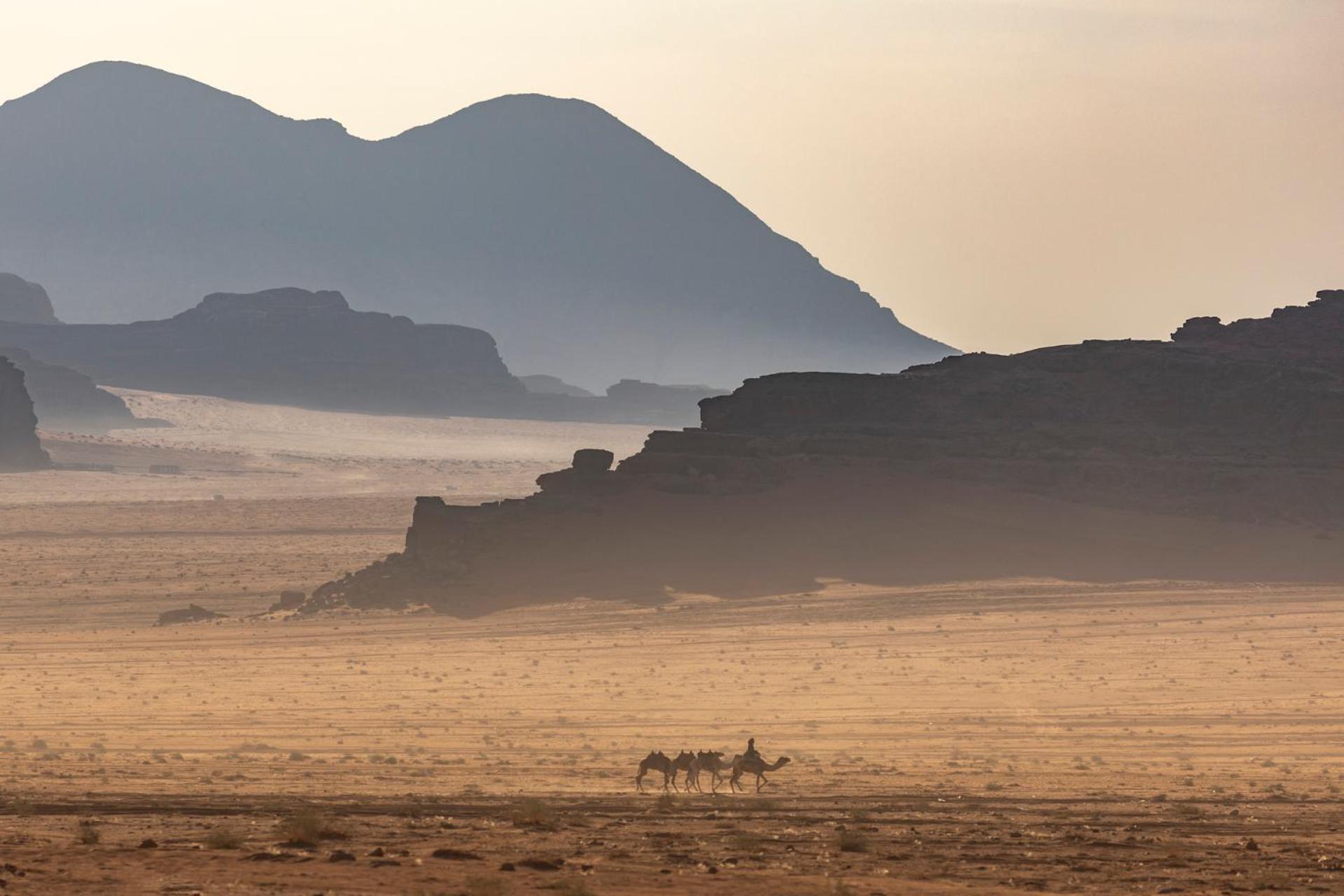 Wadi Rum Camp & Jeep Tour Eksteriør billede