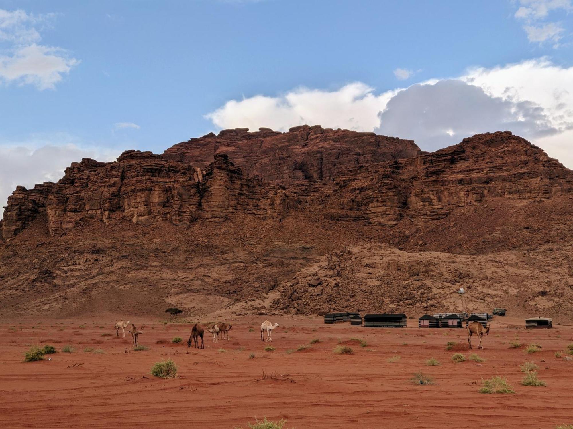 Wadi Rum Camp & Jeep Tour Eksteriør billede